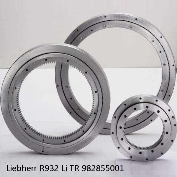 982855001 Liebherr R932 Li TR Slewing Ring