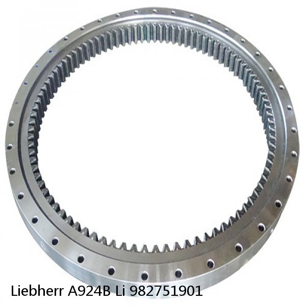 982751901 Liebherr A924B Li Slewing Ring